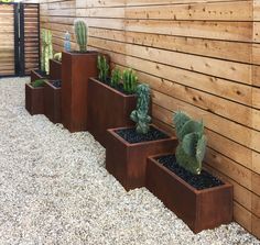 three brown planters with cacti in them on the side of a wooden wall