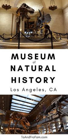 the museum of natural history in los angeles, ca with text overlaying it