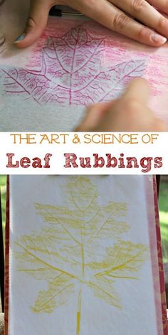 the art and science of leaf rubbings for kids to use in their artwork projects