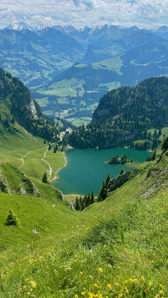 a green valley with mountains in the background and water at the bottom that is surrounded by yellow wildflowers