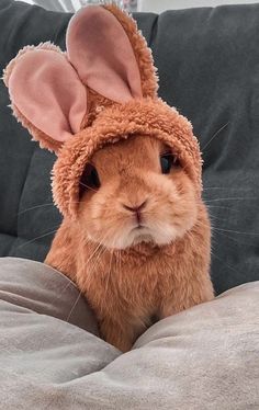 a brown rabbit wearing a bunny ears hat