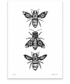 three bees are shown in black and white, with one bee on the left side