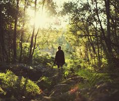 a person standing in the middle of a forest