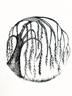 an ink drawing of a tree with lots of branches hanging from it's trunk