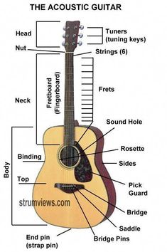 an acoustic guitar labeled in parts