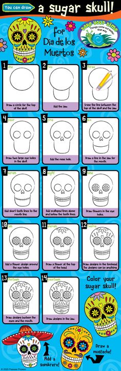 a poster showing how to draw sugar skulls