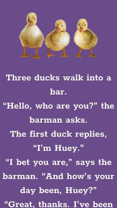 three ducks walk into a bar