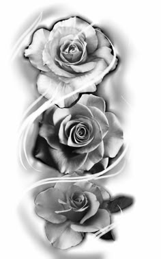 black and white photo of three roses with watermarks on the bottom half of it