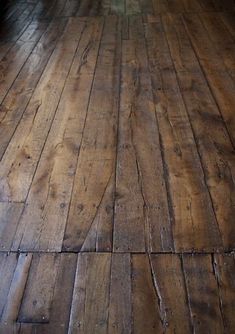 a cat is sitting on the wooden floor