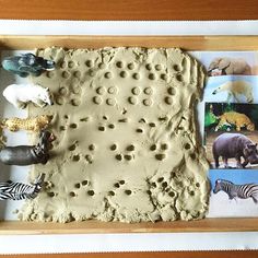 an animal themed cake is displayed in a wooden tray with pictures and magnets on it