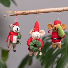 three stuffed animals hanging from a tree branch with decorations on it's ears and feet