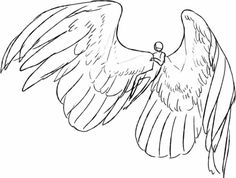 a drawing of a bird with its wings spread out and it's wing extended