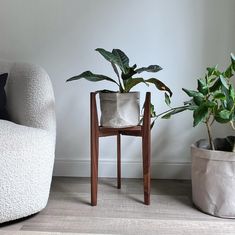 a white chair sitting next to a potted plant