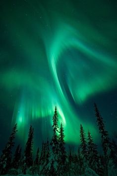 an aurora bore is seen in the sky above some trees