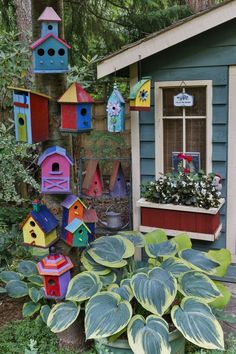 colorful birdhouses and plants in front of a house