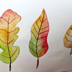 three watercolor leaves are shown in different colors