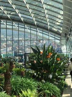 the inside of a building with many plants and flowers in it's center area