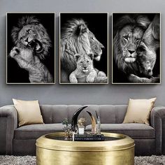 three pictures of lions in black and white on a wall above a coffee table with gold accents