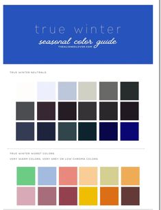 True Winter Neutral Color Palette, Cool Winter Best Colors, True Winter Color Palette Neutrals, True Winter Neutrals, Winter Tones Colour Palettes, Cool Winter Outfits Palette, Winter Season Color Palette, Cool Winter Color Palette Outfits