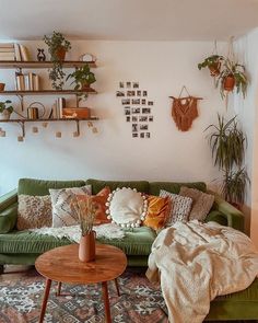 a living room with green couches and potted plants on the wall above them