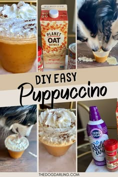 the collage shows different types of food and drinks with text overlay that reads diy easy puppuccino