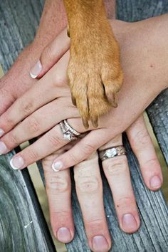 two people and a dog with their hands on top of each other's fingers