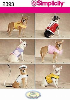 several pictures of small dogs wearing sweaters and hats, all in different styles on the same page