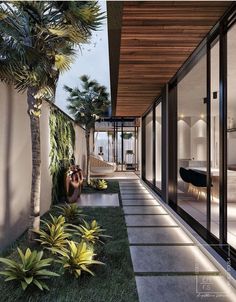 an exterior view of a house with glass walls and palm trees in the foreground