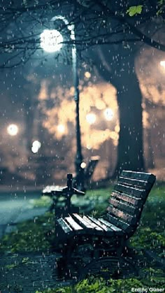 an empty park bench in the rain at night