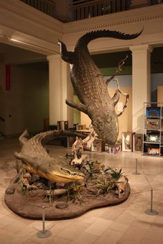 an alligator statue is on display in a museum