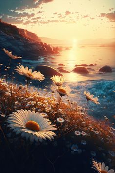 the sun is setting over some water with daisies