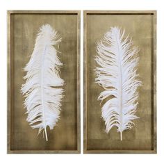 two framed pictures with white feathers on them