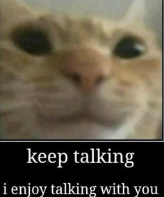 an image of a cat that is looking at the camera with caption saying, keep talking