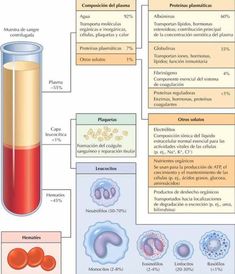 a diagram showing the different types of blood and other substances in an animal's body