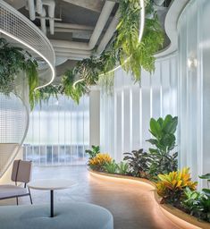 an office with plants and chairs in it