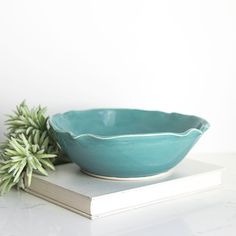 a blue bowl sitting on top of a book next to a small succulent plant