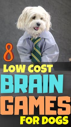 a dog wearing a shirt and tie with the words 8 low cost brain games for dogs