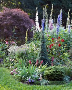 a garden filled with lots of different types of flowers