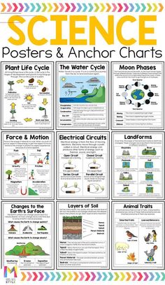 3rd class science worksheets 18 Search into our collection for more related image. Remember to share your favorite finds with your friends! Simply click on the image to save it, or right-click and choose Save As Third Grade Science Experiments, Third Grade Science Lessons, Third Grade Science Projects, Third Grade Science Activities, Science Posters, Science Concepts, Science Anchor Charts, Third Grade Science