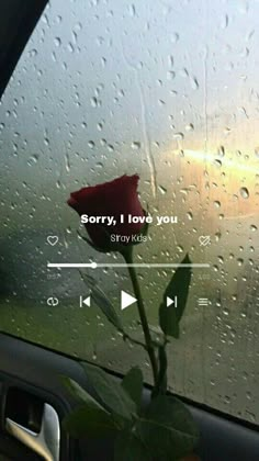 a red rose sitting in the passenger seat of a car with raindrops on it