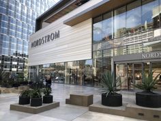 an outside view of a store with plants in the foreground