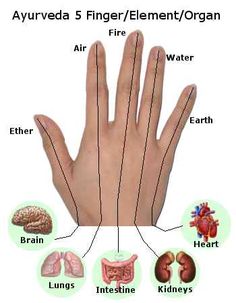 Ayurveda 5 finger, element Ayurveda Vata, Ayurveda Lifestyle, Ayurveda Life, Massage Therapy Techniques, Hand Reflexology, Reflexology Chart, Ayurvedic Recipes, Ayurveda Yoga, Magia Das Ervas