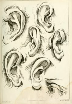 an old book with drawings of ear shapes