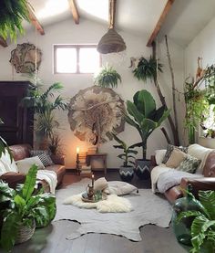 a living room filled with lots of plants