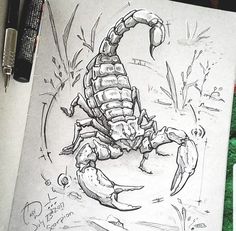 a drawing of a scorpion sitting on top of a piece of paper next to a pen