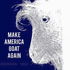 an animal with the words make america goat again