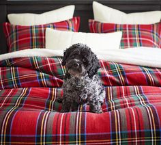 a black dog sitting on top of a red and green plaid comforter covered bed