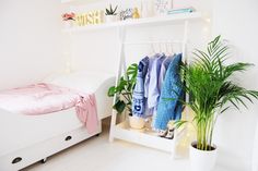 a room with a bed, potted plant and clothes