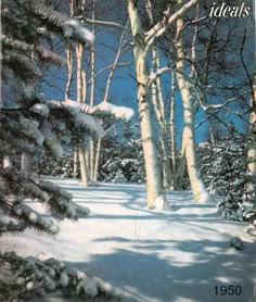 an image of a snowy forest scene with trees