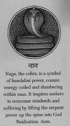 Kundalini Awakening, Cosmic Energy, Ancient Knowledge, Les Chakras, Kundalini Yoga, Chakra Meditation, A Symbol, A Snake, Reiki Healing